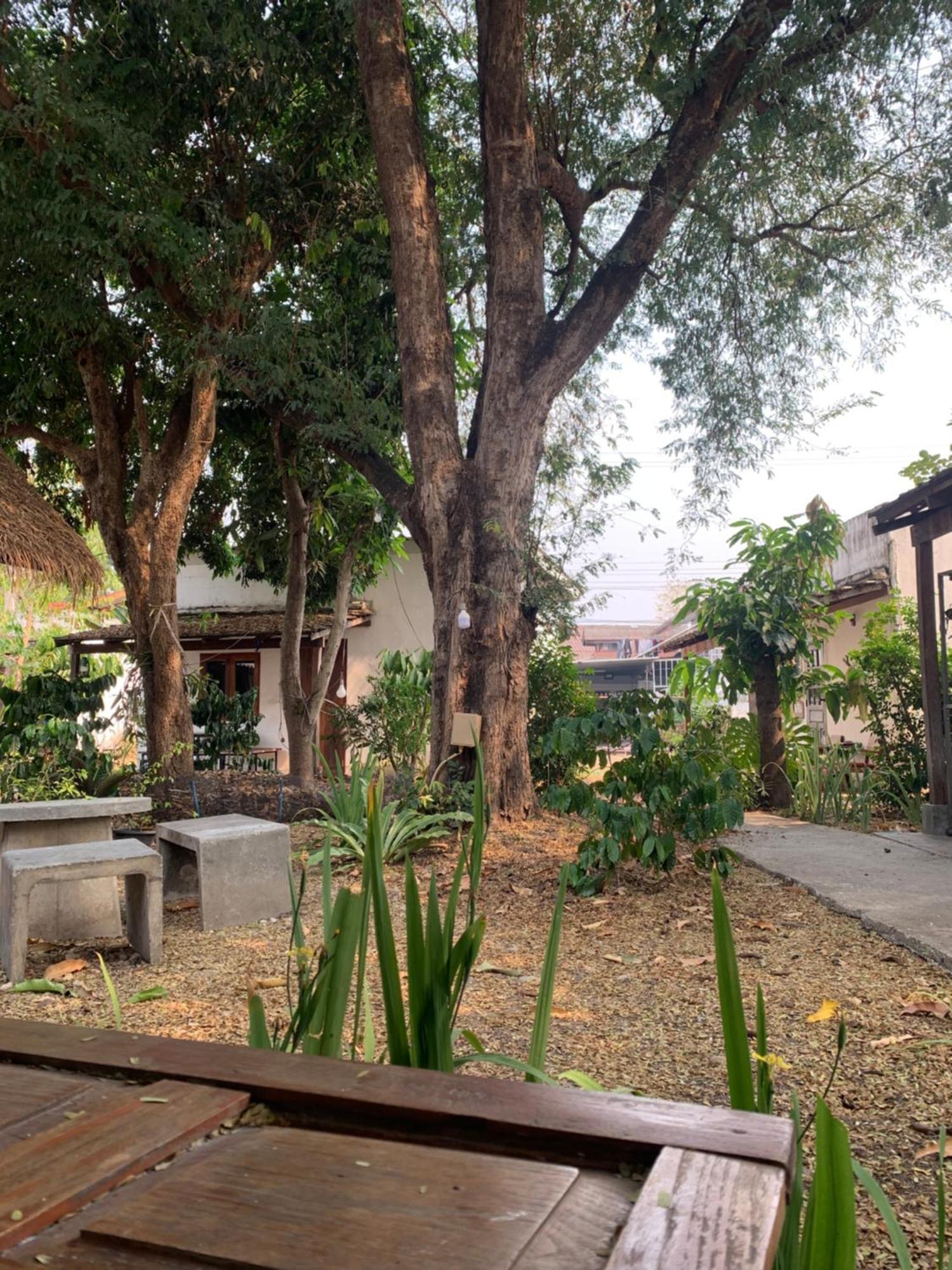 บ้านใจแปงโฮมสเตย์ Ban Jaipang Homestay Пай Екстер'єр фото