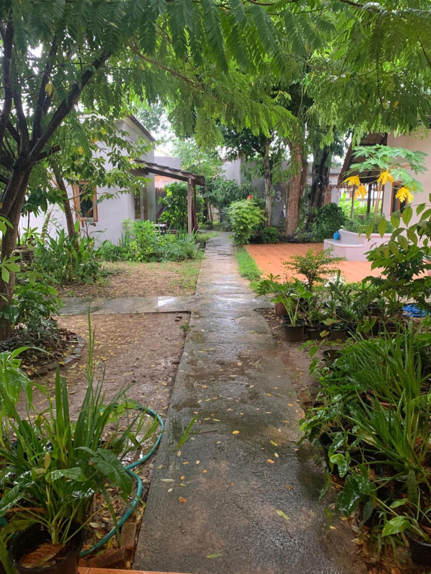 บ้านใจแปงโฮมสเตย์ Ban Jaipang Homestay Пай Екстер'єр фото
