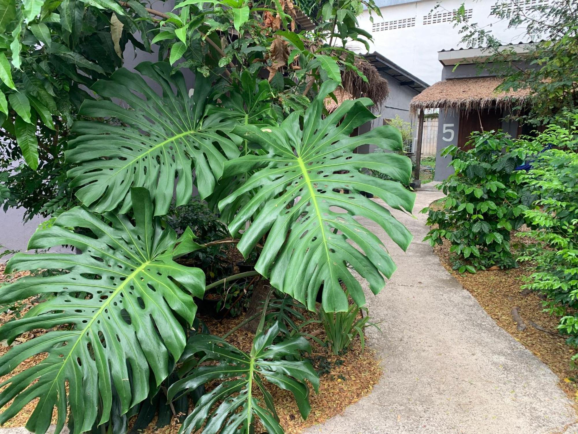 บ้านใจแปงโฮมสเตย์ Ban Jaipang Homestay Пай Екстер'єр фото