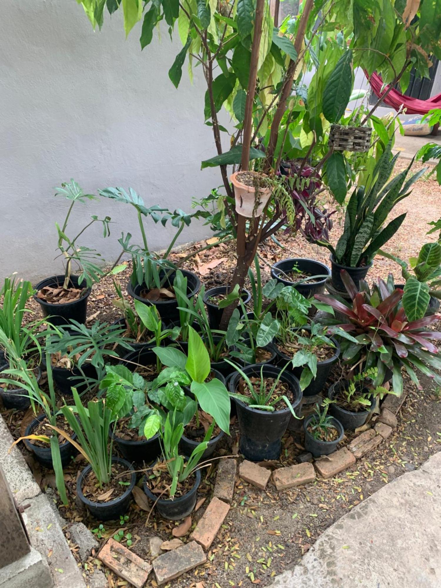 บ้านใจแปงโฮมสเตย์ Ban Jaipang Homestay Пай Екстер'єр фото
